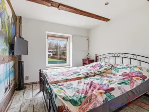 Prodej vícegeneračního domu, Těšovice, 540 m2