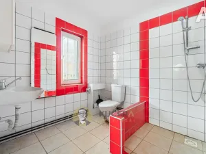 Prodej ubytování, Velká Chmelištná, 550 m2