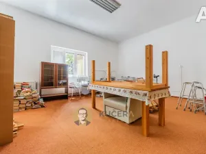 Prodej ubytování, Velká Chmelištná, 550 m2