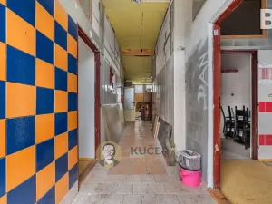 Prodej ubytování, Velká Chmelištná, 550 m2