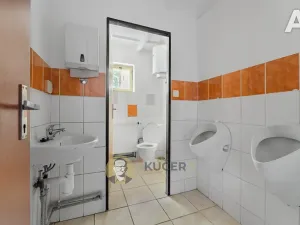 Prodej komerční nemovitosti, Velká Chmelištná, 550 m2