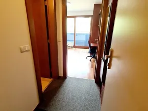 Pronájem bytu 1+kk, Praha - Vysočany, Podnádražní, 26 m2