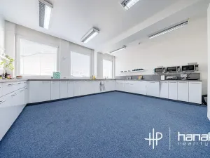 Pronájem kanceláře, Olomouc, Karolíny Světlé, 30 m2