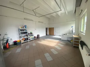 Pronájem komerční nemovitosti, Sokolov, Lipová, 60 m2