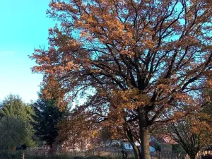 Prodej pozemku pro bydlení, Blažejovice, 3615 m2