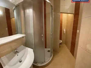 Pronájem bytu 1+1, Bučovice, Fučíkova, 38 m2