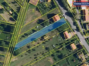Prodej pozemku pro bydlení, Viničné Šumice, 1266 m2