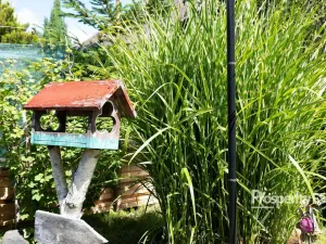 Prodej chaty, Kladno - Kročehlavy, 65 m2