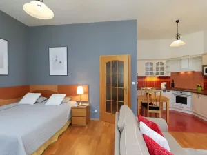 Pronájem bytu 1+kk, Praha - Vinohrady, Sázavská, 35 m2