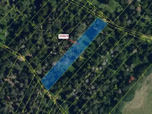 Dražba lesa, Veverské Knínice, 2213 m2