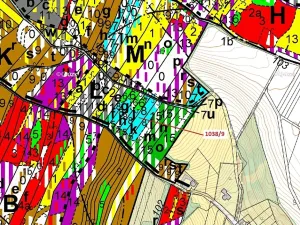 Dražba lesa, Veverské Knínice, 2213 m2