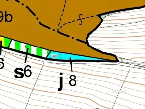 Dražba lesa, Nové Dvory, 953 m2