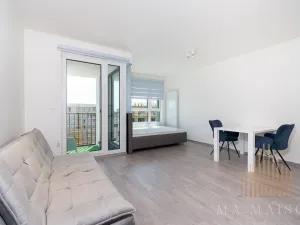 Pronájem bytu 1+kk, Praha - Žižkov, Olgy Havlové, 38 m2