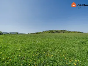 Prodej pozemku pro bydlení, Palkovice, 1636 m2