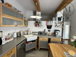 Prodej rodinného domu, Nová Ves, 480 m2