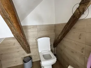 Prodej rodinného domu, Nová Ves, 480 m2