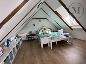 Prodej rodinného domu, Nová Ves, 480 m2