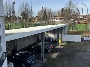 Prodej rodinného domu, Nová Ves, 480 m2