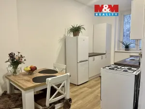 Prodej bytu 1+1, Ústí nad Labem - Ústí nad Labem-centrum, Pasteurova, 37 m2