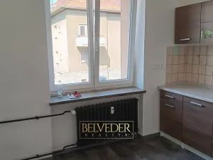 Pronájem bytu 2+1, Teplice, Svojsíkova, 56 m2