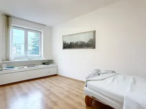 Pronájem bytu 1+kk, Brno, Svatoplukova, 21 m2