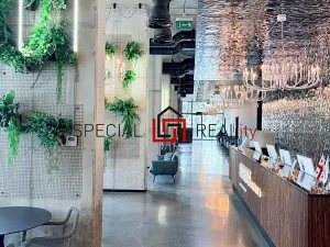 Pronájem apartmánu, Batumi, Gruzie, Grigol Lortkipanidze Street, 30 m2