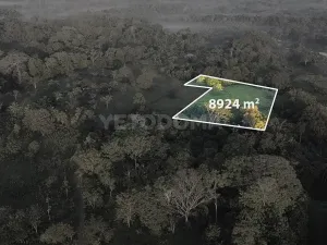 Prodej pozemku pro bydlení, Puerto Jiménez, Kostarika, Calle Los Pollos, 8924 m2