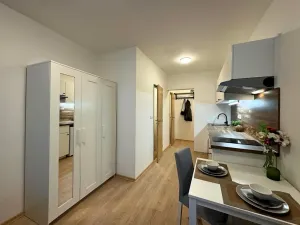 Pronájem bytu 1+kk, Brno, Francouzská, 22 m2