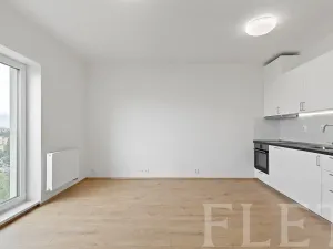 Pronájem bytu 1+kk, Praha - Chodov, Klapálkova, 32 m2