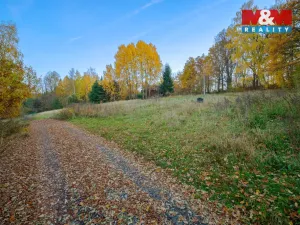Prodej pozemku pro bydlení, Vlašim - Nesperská Lhota, 2010 m2