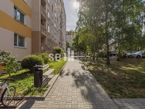 Pronájem bytu 3+1, Mohelnice, Nová, 71 m2