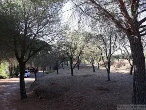 Prodej zemědělské usedlosti, Carsan, Francie, 386 m2