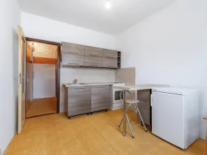 Prodej bytu 1+1, Liberec - Liberec XXV-Vesec, Česká, 33 m2