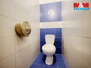 Pronájem obchodního prostoru, Plzeň - Severní Předměstí, Pod Všemi svatými, 12 m2