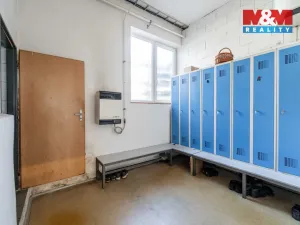 Pronájem výrobních prostor, Měřín, 454 m2