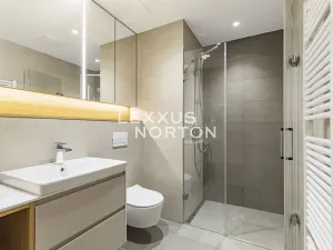 Pronájem bytu 2+kk, Praha - Holešovice, U průhonu, 48 m2