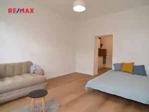Pronájem bytu 1+1, Praha - Podolí, U Kublova, 43 m2