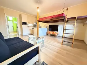 Pronájem bytu 1+kk, Holubice, Buková, 40 m2