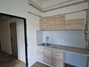 Pronájem bytu 1+1, Děčín, Podmokelská, 39 m2