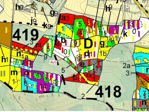 Dražba lesa, Pačejov, 3251 m2