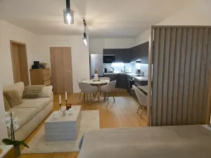 Pronájem bytu 2+kk, Brandýs nad Labem-Stará Boleslav, Dřevčická, 60 m2