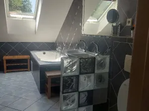 Prodej rodinného domu, Kynšperk nad Ohří, Sokolovská, 508 m2