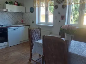 Prodej rodinného domu, Kynšperk nad Ohří, Sokolovská, 508 m2