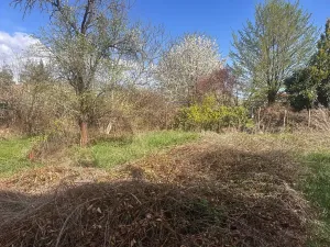 Prodej rodinného domu, Brno, 160 m2