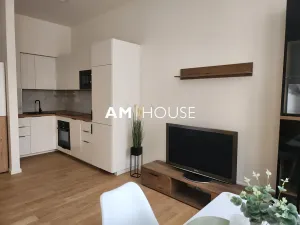 Pronájem bytu 2+kk, Praha - Vysočany, Prokopka, 40 m2
