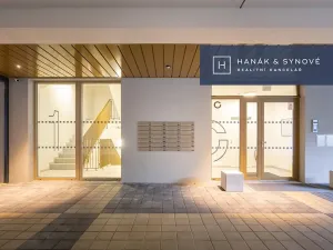 Pronájem bytu 1+kk, Brno, Cejl, 32 m2