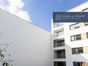 Pronájem bytu 1+kk, Brno, Cejl, 27 m2