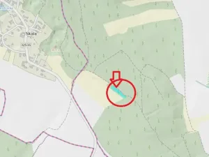 Prodej lesa, Velký Vřešťov, 1545 m2