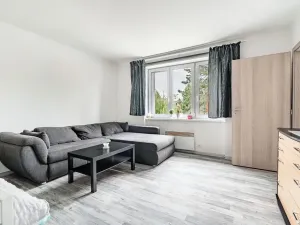 Pronájem bytu 1+1, Chomutov, Grégrova, 42 m2