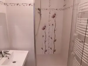 Pronájem bytu 2+1, Olomouc, Družební, 45 m2